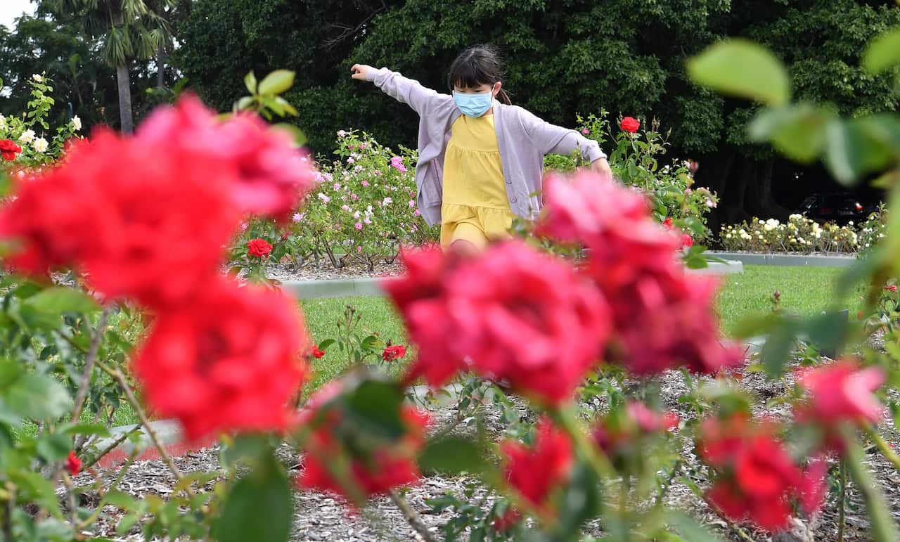 A child plays in the rose gardens in New Farm Park in Brisbane 