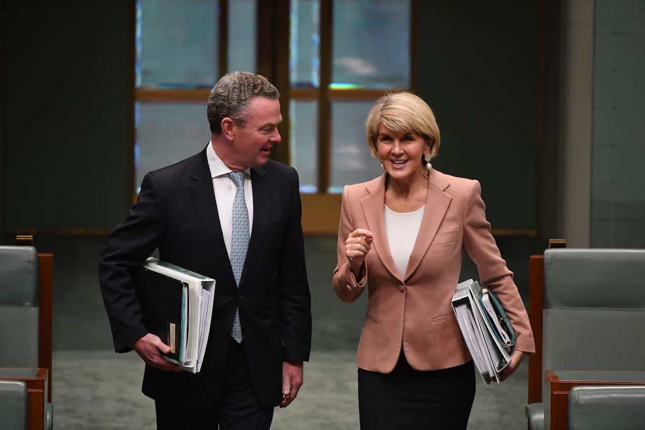Christopher Pyne and Julie Bishop during their time in cabinet