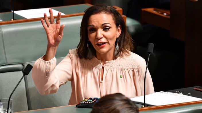 Labor Member for Cowan Anne Aly in the House of Representatives