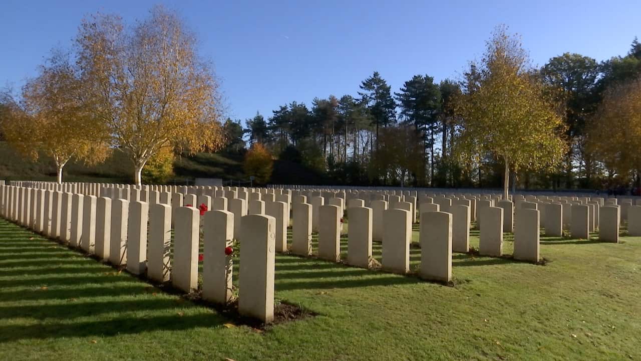 Polygon Wood