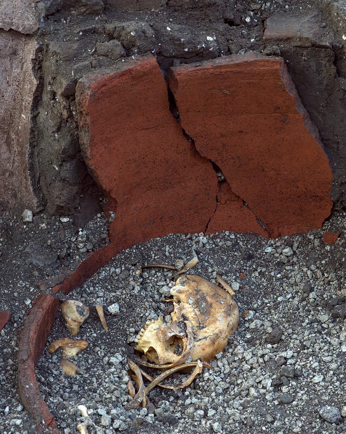 The excavation has helped to reveal some favorite dishes of citizens of the ancient Roman city who liked to eat out.