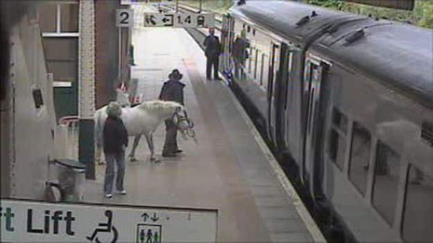 The man bought two tickets for himself and the pony. 