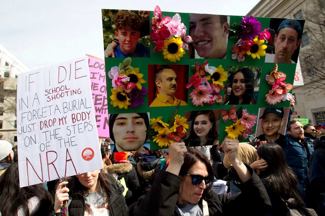 March for Our Lives rally in Washington DC.