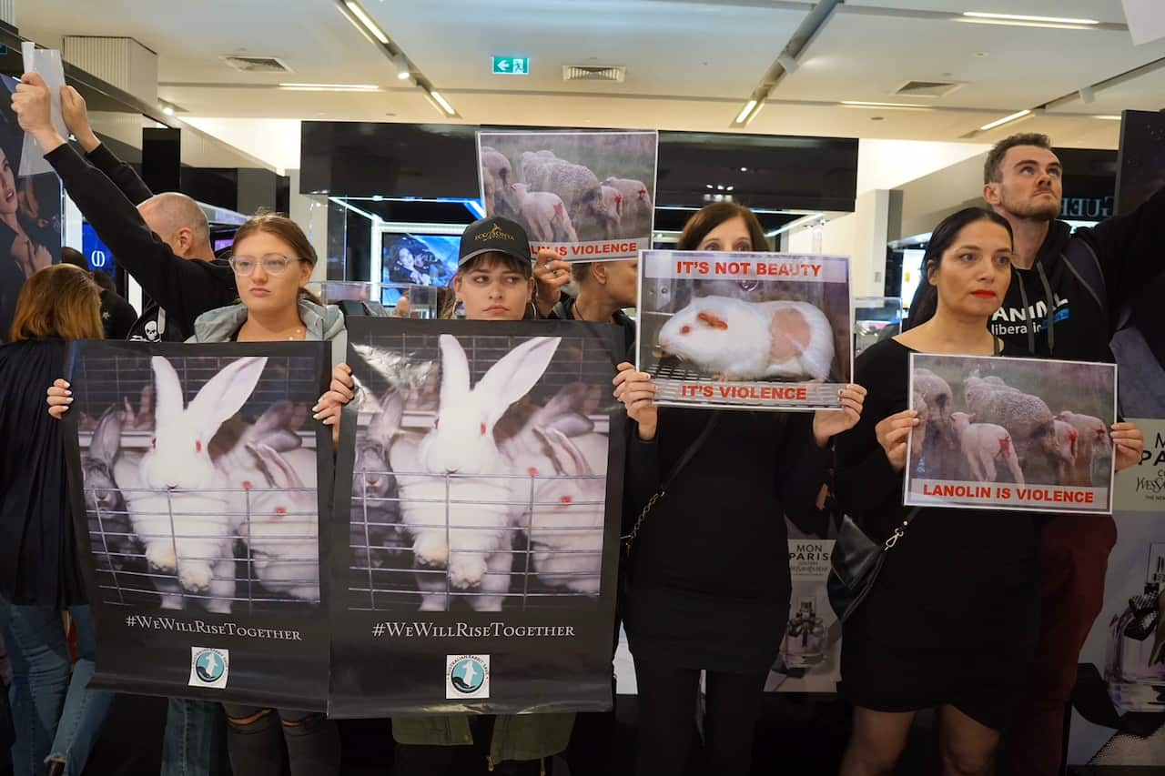 Luxury brand Hermès targeted by animal rights protestors - Inside Retail  Australia