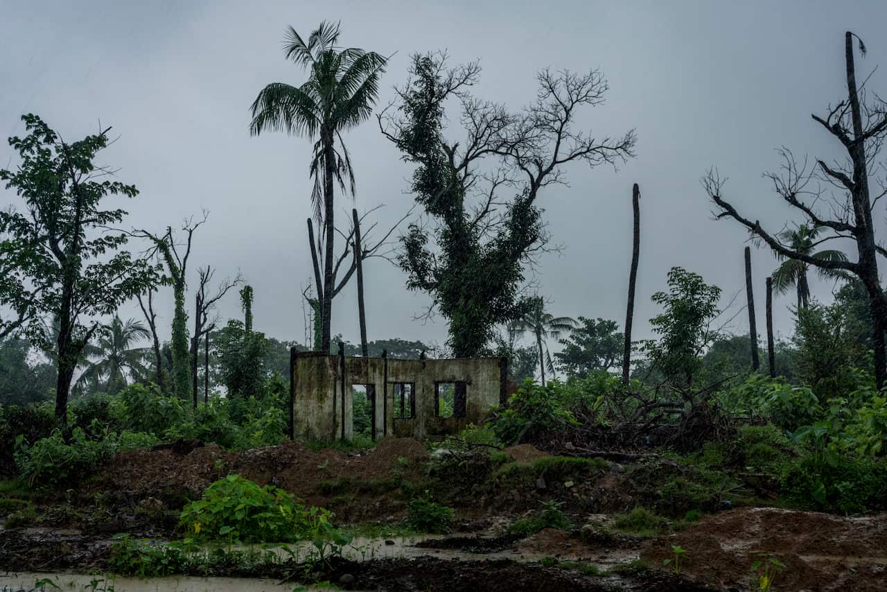 A destroyed mosque and charred palm trees in a Rohingya village that was razed in Maungdaw, Myanmar in July 2018.