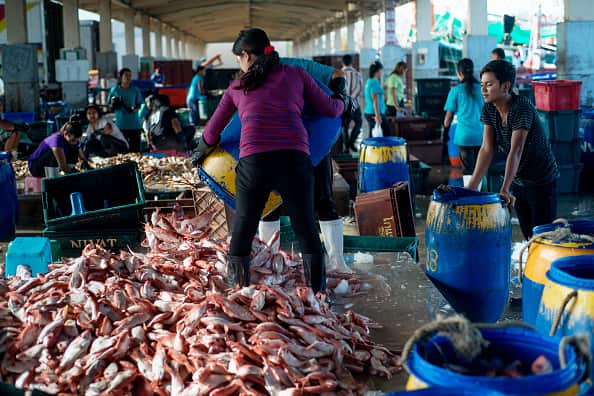 A migrant worker unloading fish on the mainland in Phuket. Labour brokers often target illegal immigrants, knowing they can't go to the police.