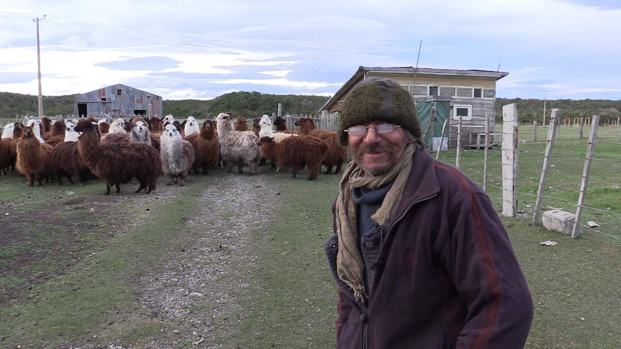 Alpaca farmer Sergio Diaz say in the 1970s, ‘It used to snow a lot more, any amount of snow, sometimes up to four metres in height!’