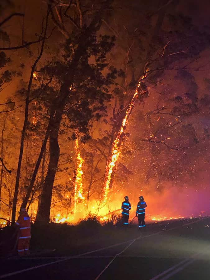 Firefighters battle to contain a fire at Currowan. 