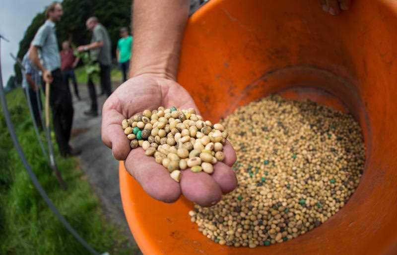 Soybeans are the top US agricultural export to China.