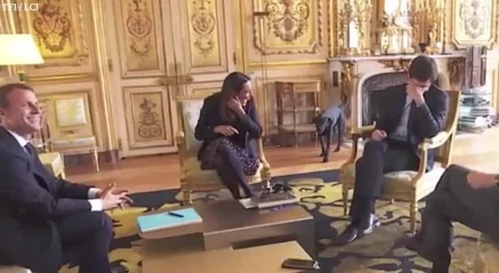 Nemo, the French president's dog, urinated on a fireplace during a ministerial meeting.