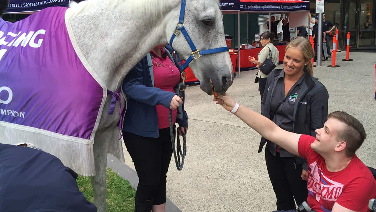 Melbourne Cup winner bringing joy to sick kids