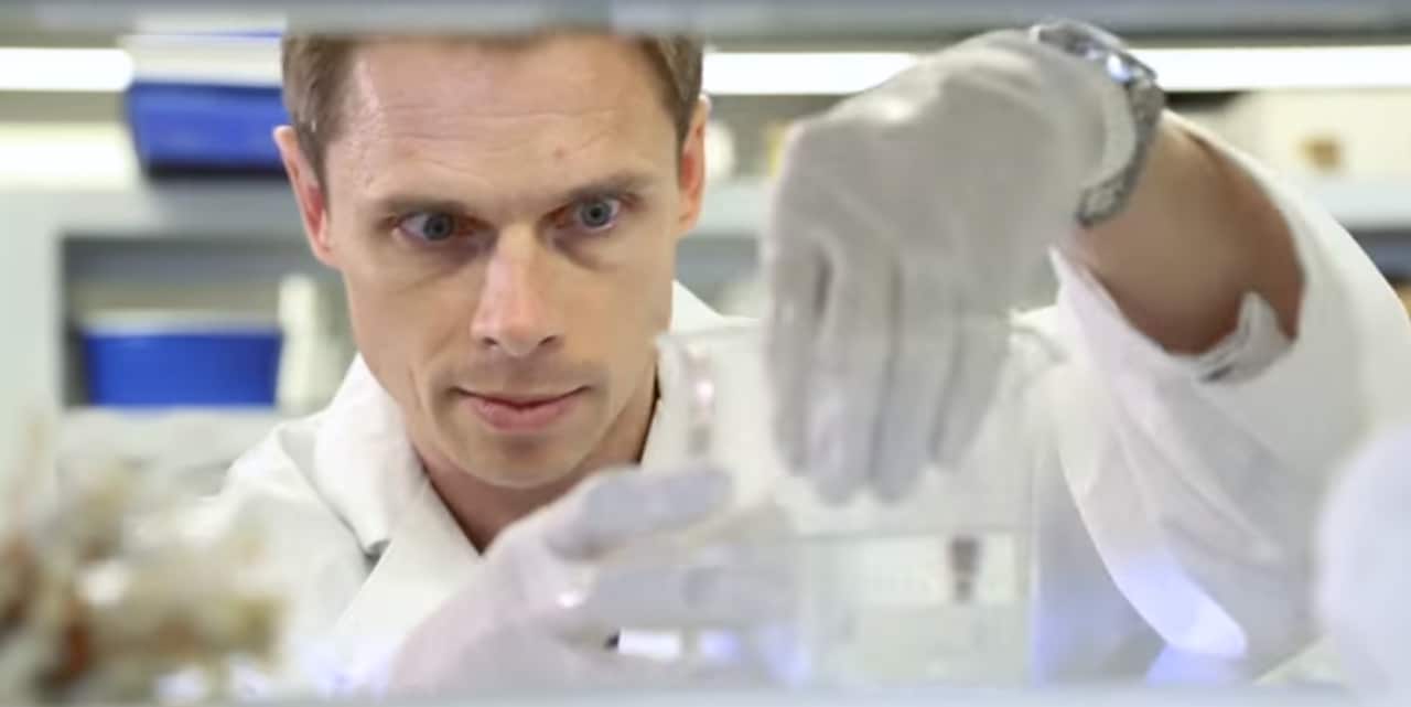 David Suggett is an Associate Professor at the University of Technology Sydney.