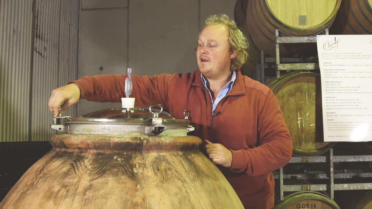 wine-carrying amphora