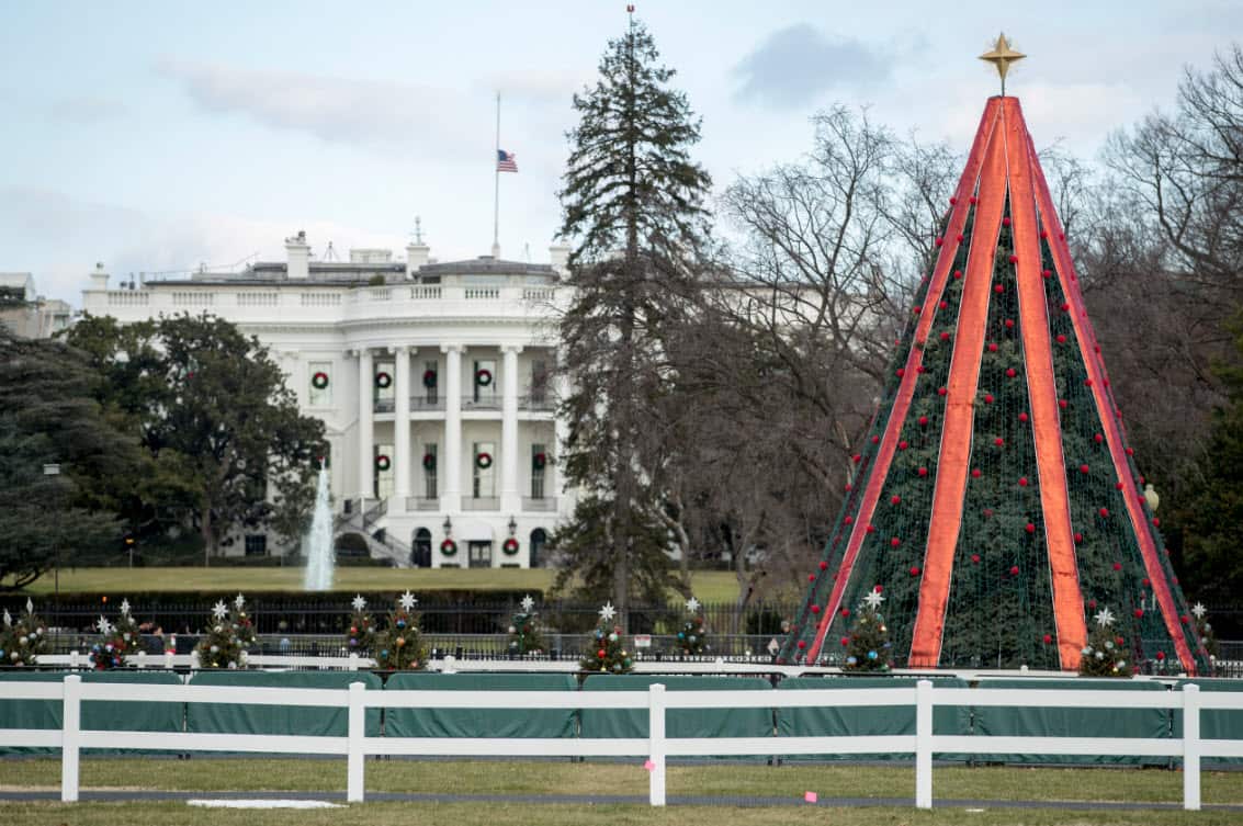 The National Christmas Tree near the White House in Washington.