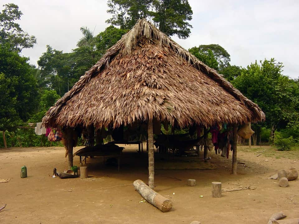Bolivia's Tsimane people