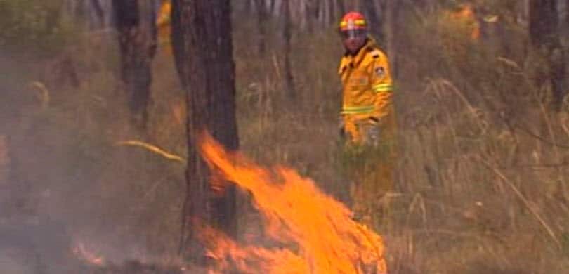 NSW bushfires