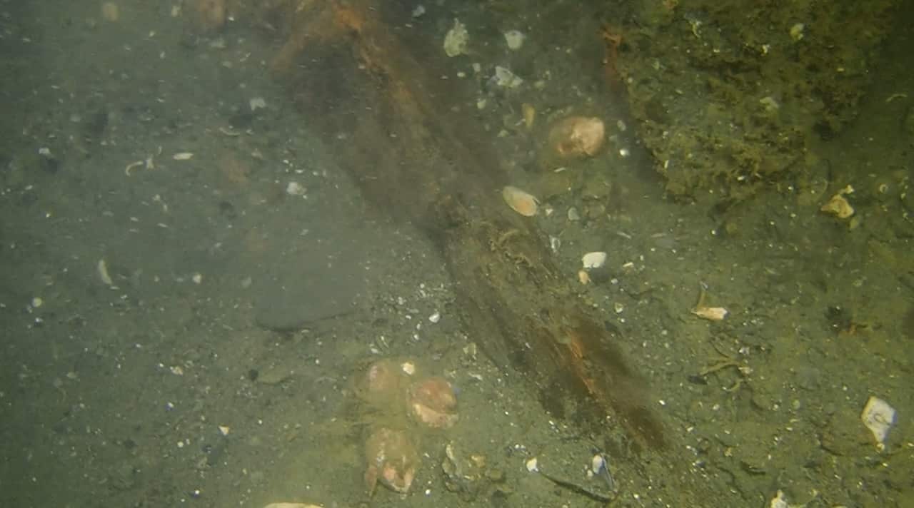 Image from vision of a dive of the site. Via RIMAP / Silentworld Foundation / Australian National Maritime Museum