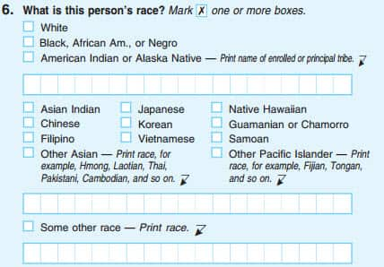 Screenshot: 2010 US census