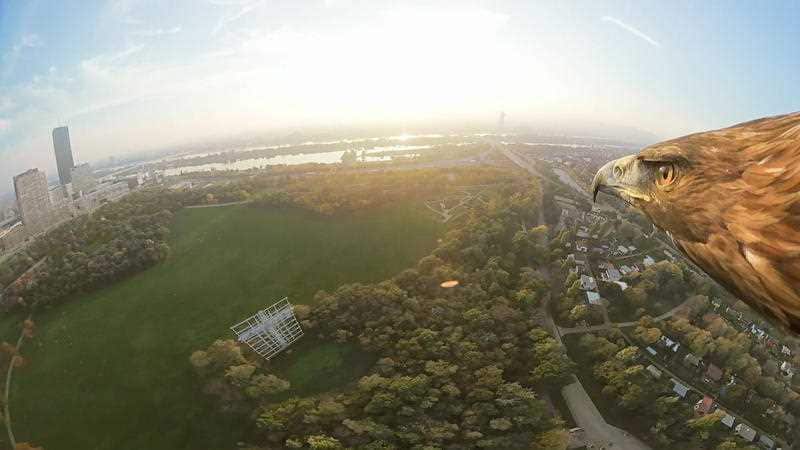 A bird's eye view of Vienna. What's it got that Melbourne hasn't?