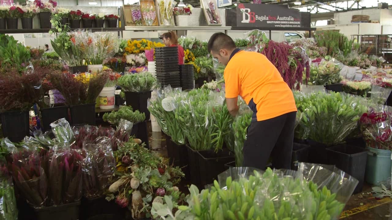 There are a huge variety of flowers compared to when he started says Tony Bagala.