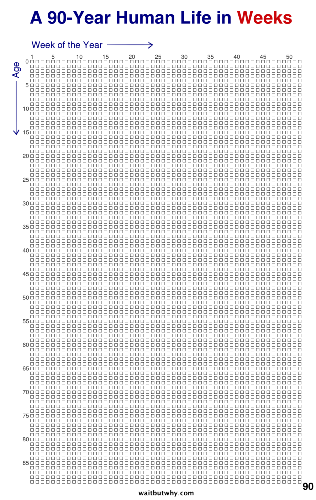 A 90-Year Human Life in Weeks