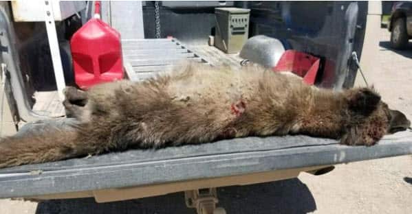 It could be months before the mystery is solved