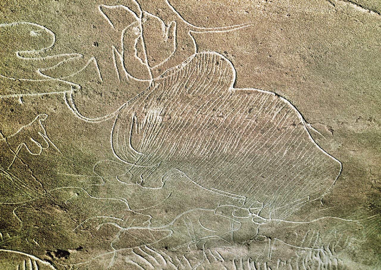Mammoth cave painting