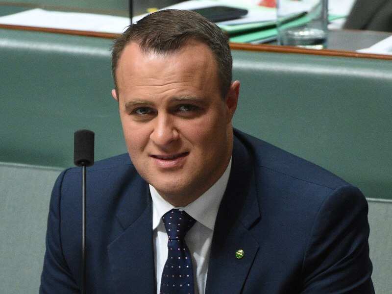 Liberal MP Tim Wilson
