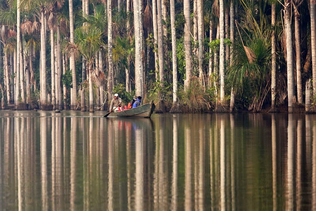 Lake Sandoval - Amazon Rainforest