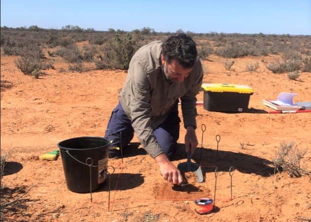 Craig Westell conducting field work.