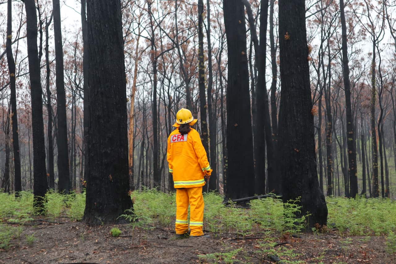 Lake Tyers CFA