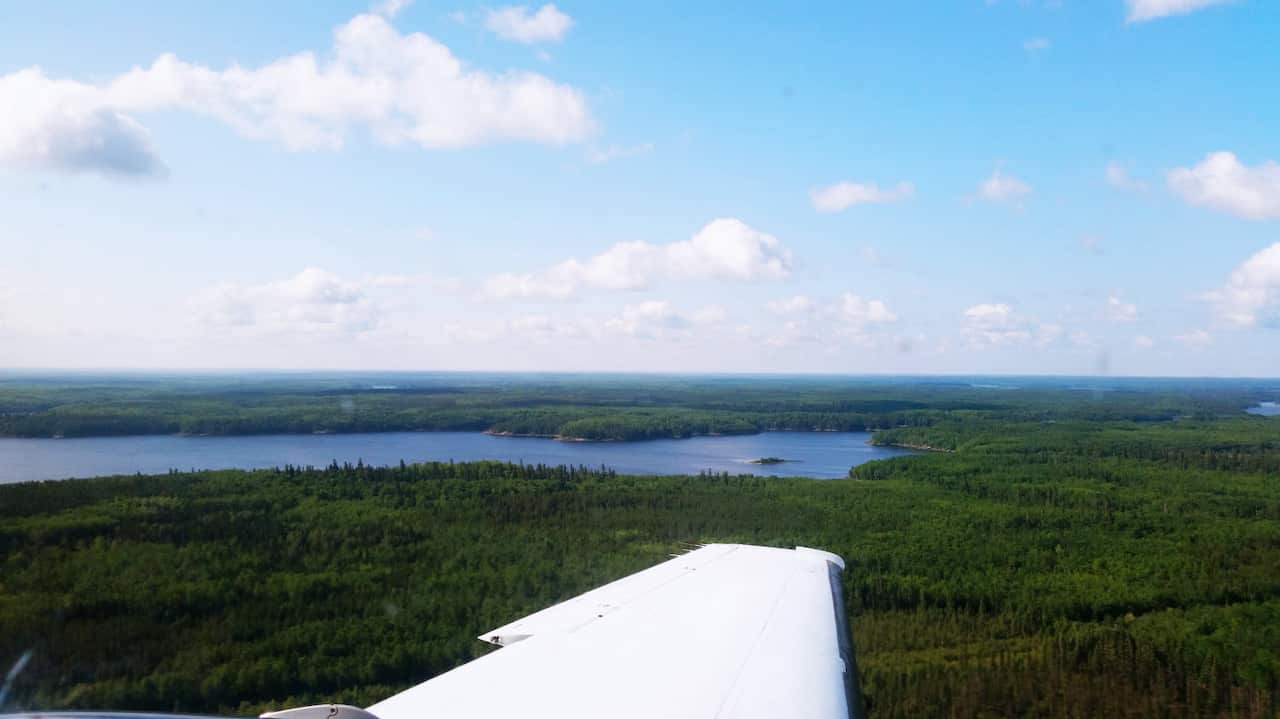 Flying over the boreal forest northern Ontario