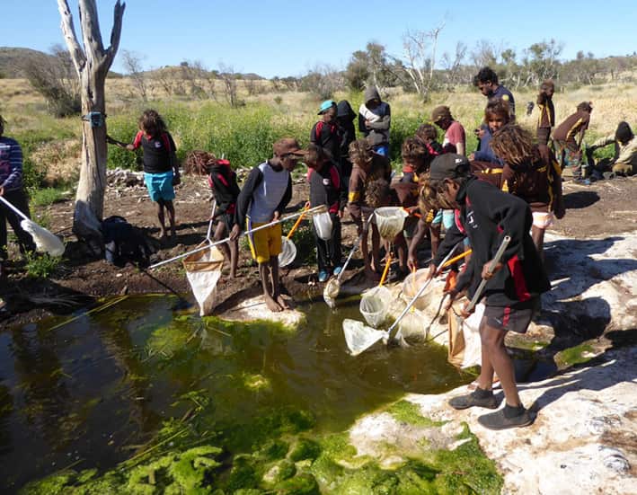 Students collect small water animals used to monitor water quality