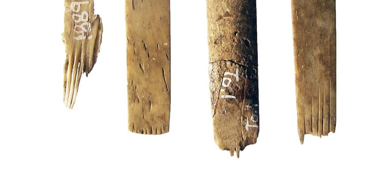 Ancient Tongan Tattoo Kit