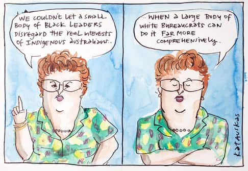 ATSIC Cartoon