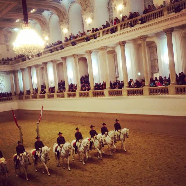 The Spanish Riding School