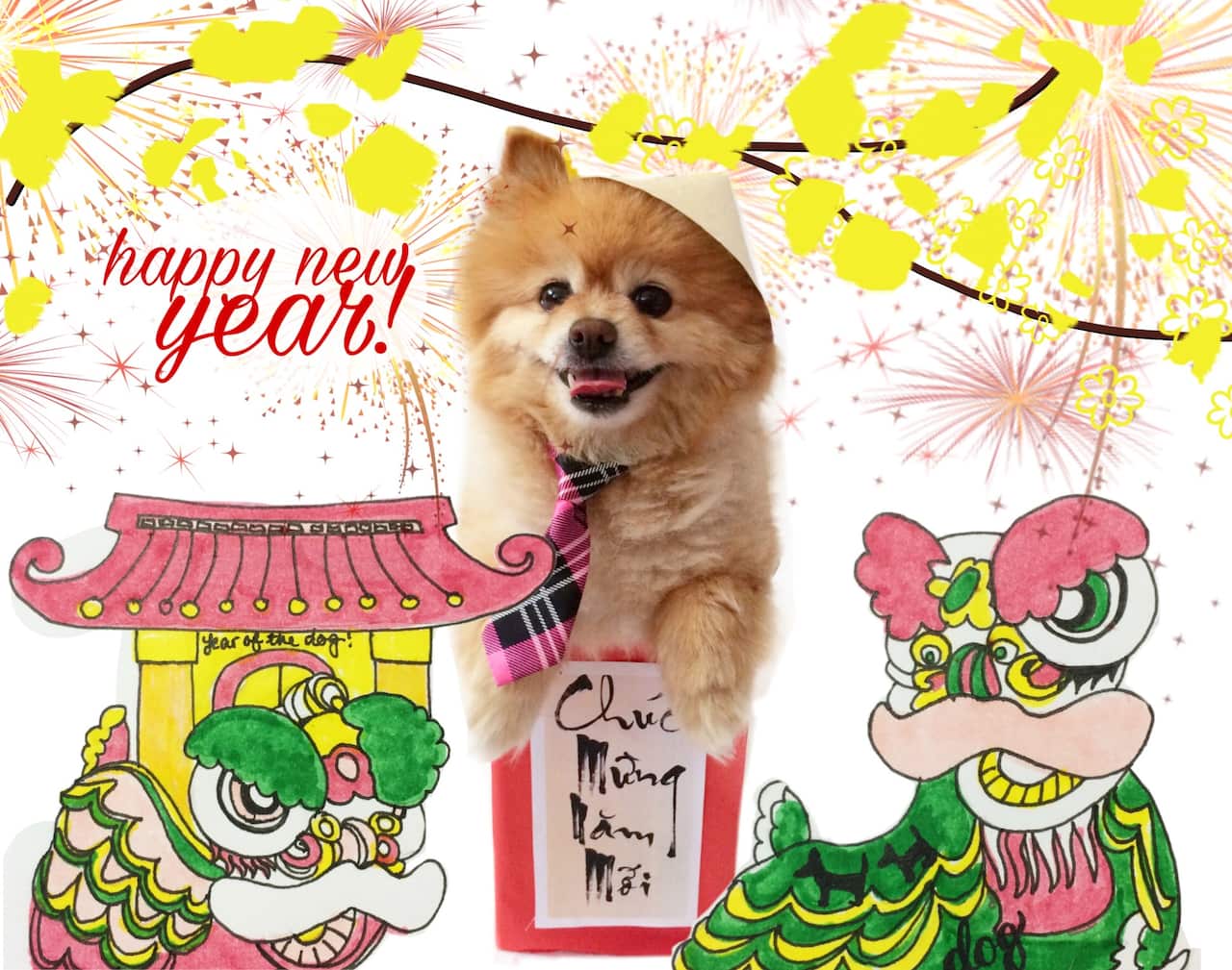 SBS dog of the year Lunar New Year competition winner 2018