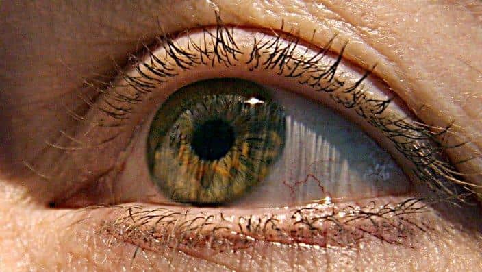 Macular Disease