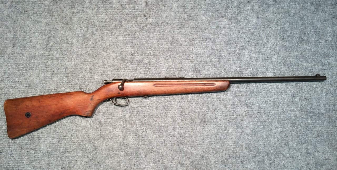 A .22 calibre long rifle