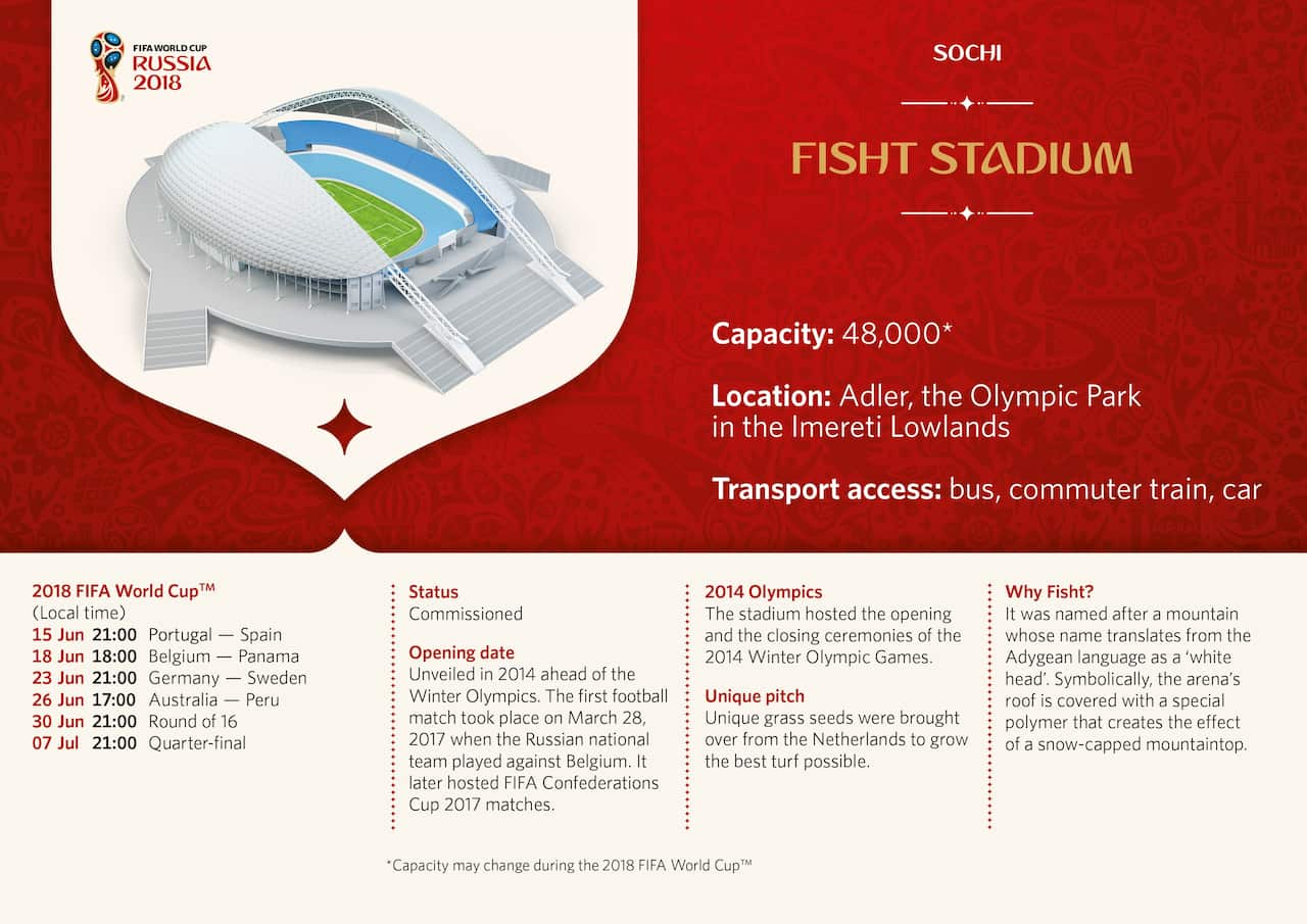 Fisht Stadium Infographic