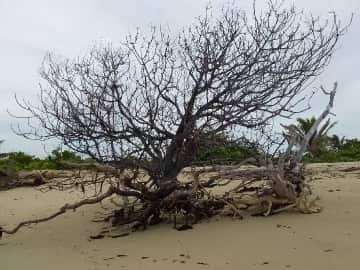 Rising sea levels