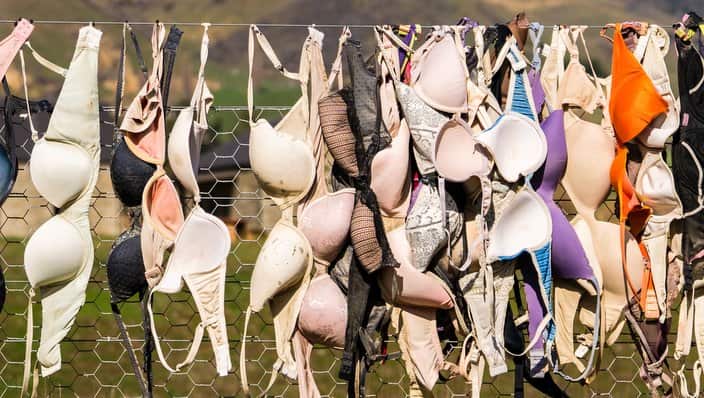 Cardrona Bra Fence, New Zealand