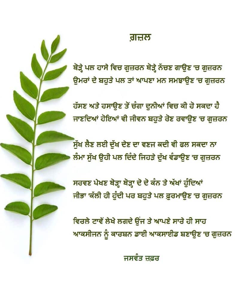 zafar