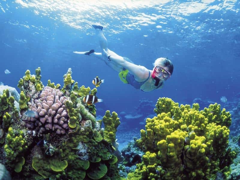 Great Barrier Reef