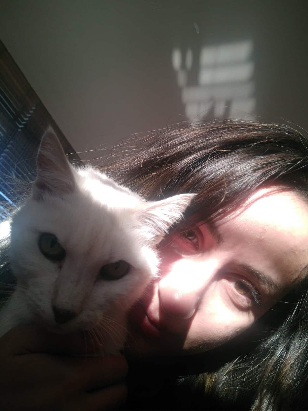 QUEENIE'S PAWPRINTS 3