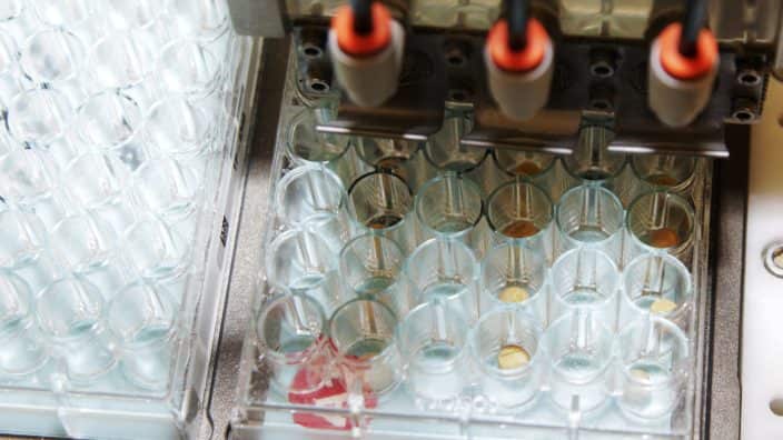 Monsantos Lab
