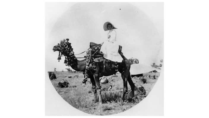 Unidentified woman on a camel, ca. 1880 A woman in a long dress, jacket and a large picture hat is sitting side-saddle on a camel. 
