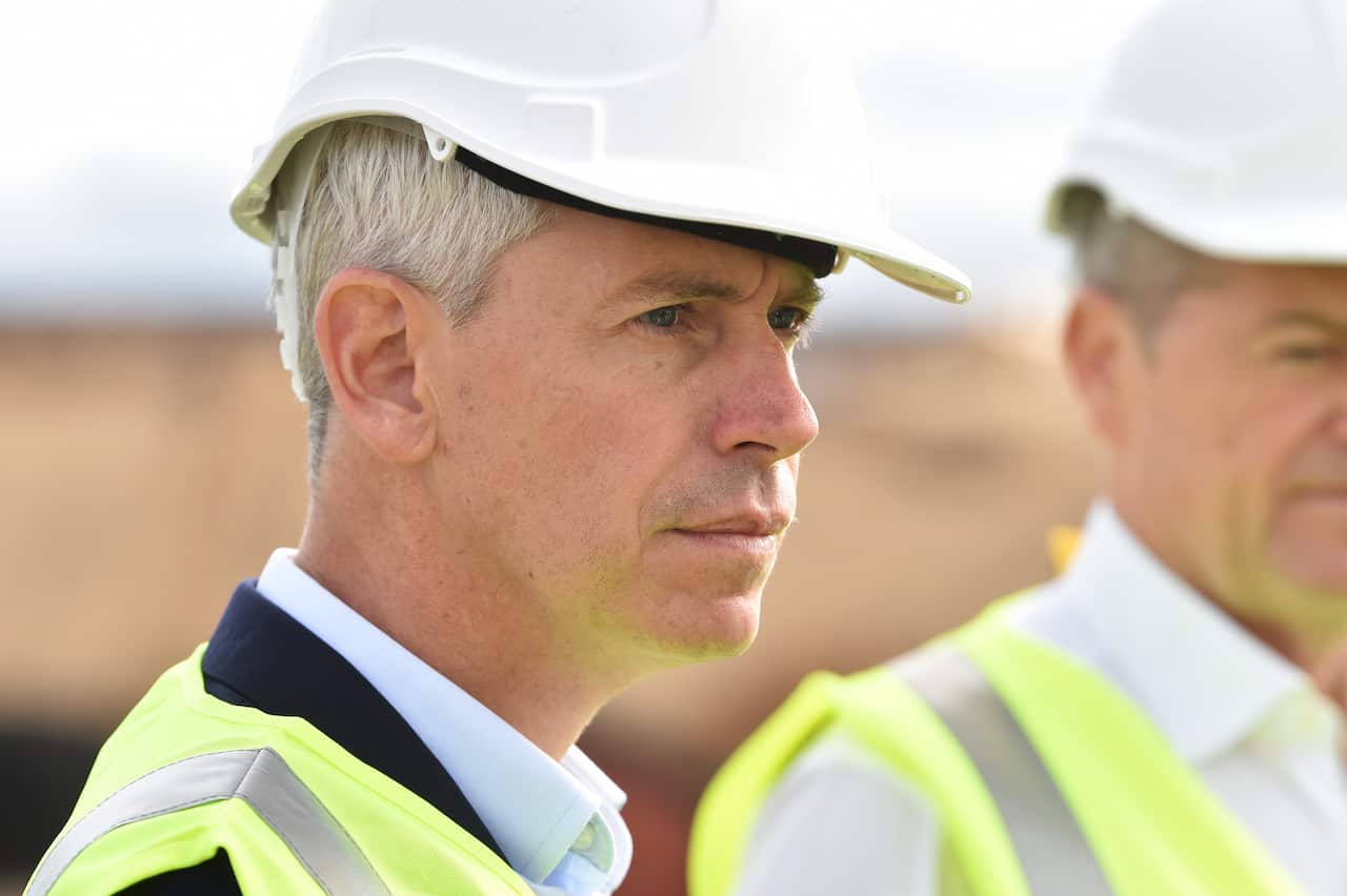 Labor frontbencher Andrew Giles.