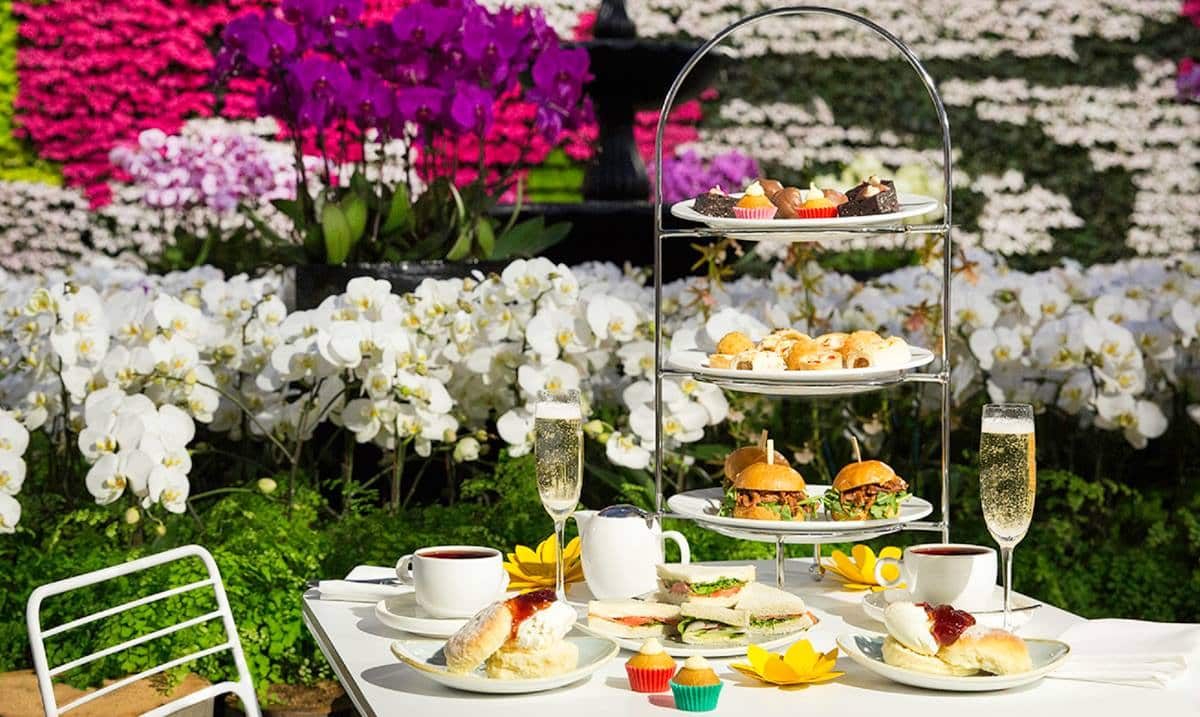 High tea at The Calyx 
