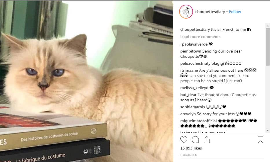 Karl Lagerfeld's cat could receive part of his massive $270 million fortune